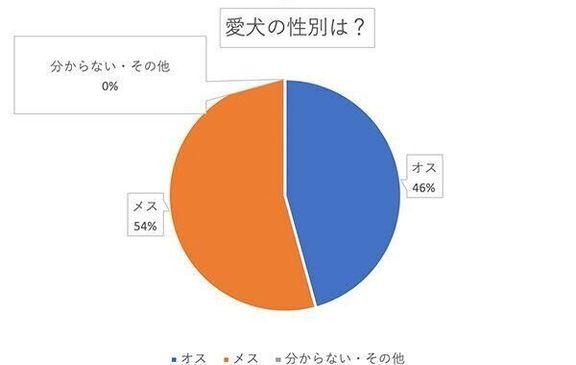愛犬の性別は?