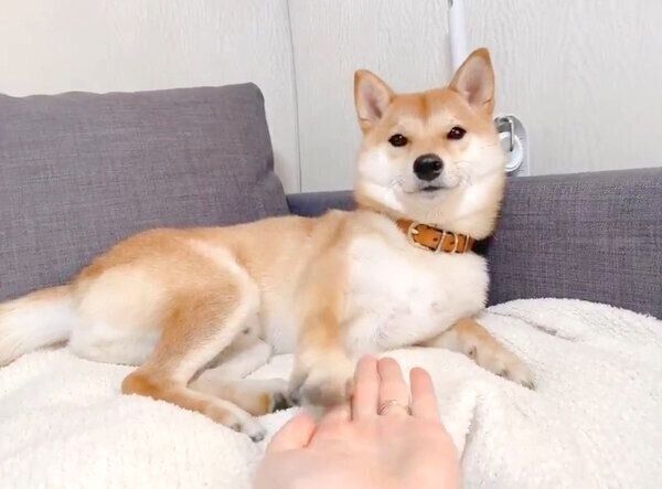 くつろぐりんご郎くん