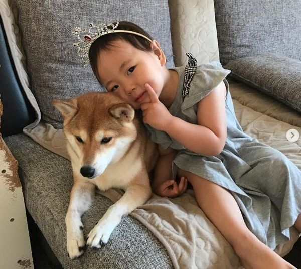 柴犬のももかちゃんと妹ちゃん