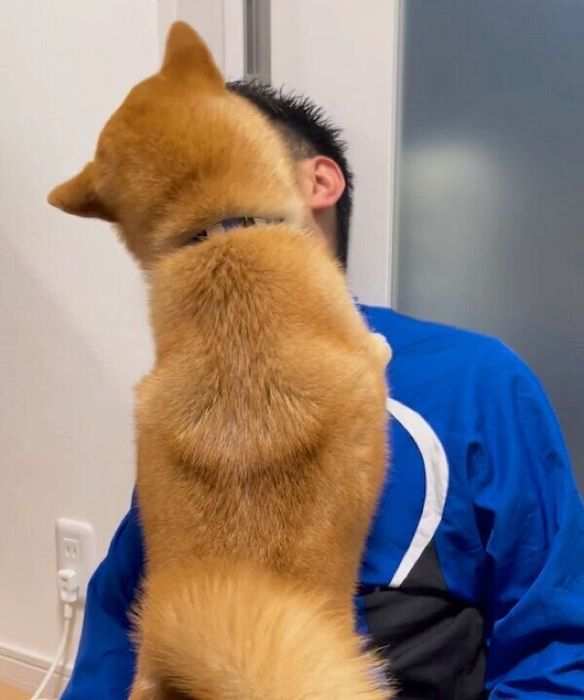 パパさんへの愛が止まらないはじめくん