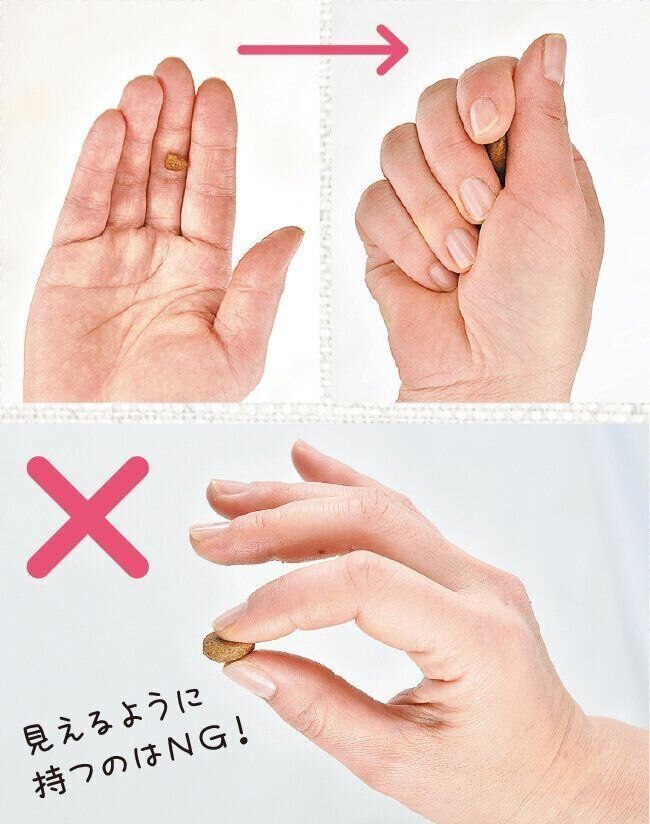 撮影／佐藤正之