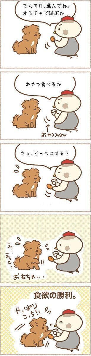 【連載】こぐま犬てんすけ