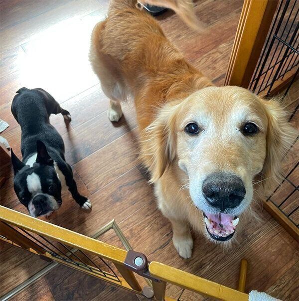 お友達と仲良しのマイトくん