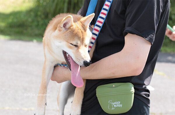 抱っこされるなつめちゃん