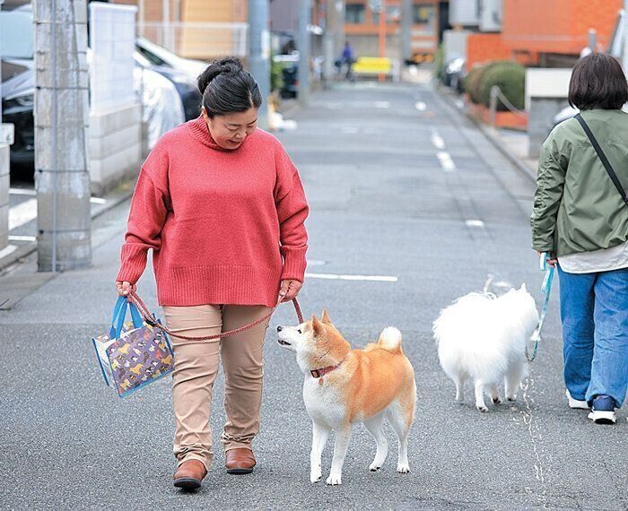ほかの犬とすれちがう犬