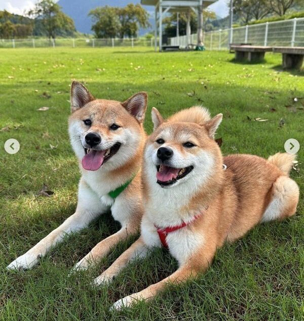 楽しそうな福ちゃん、富くん