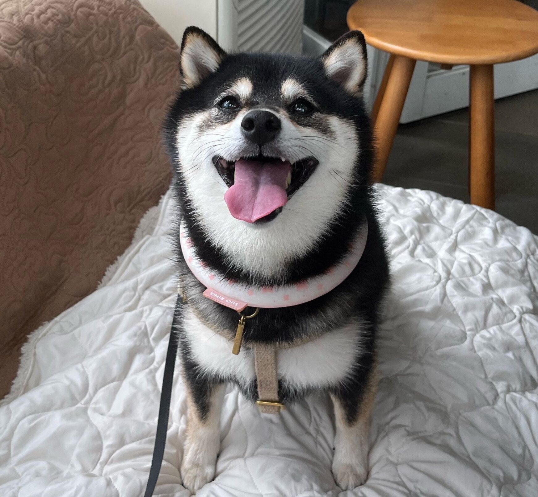 笑顔が可愛いそらちゃん