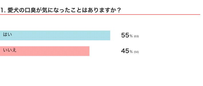 愛犬の口臭が気になったことはある？