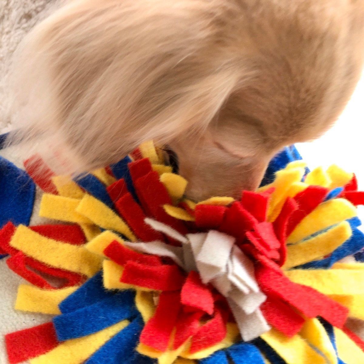 おやつを食べる犬