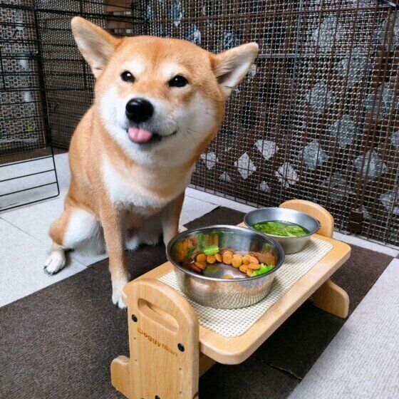 柴のくるみちゃん♪