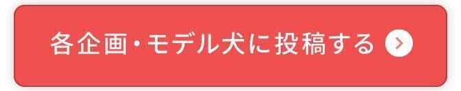 各企画・モデル犬に投稿する