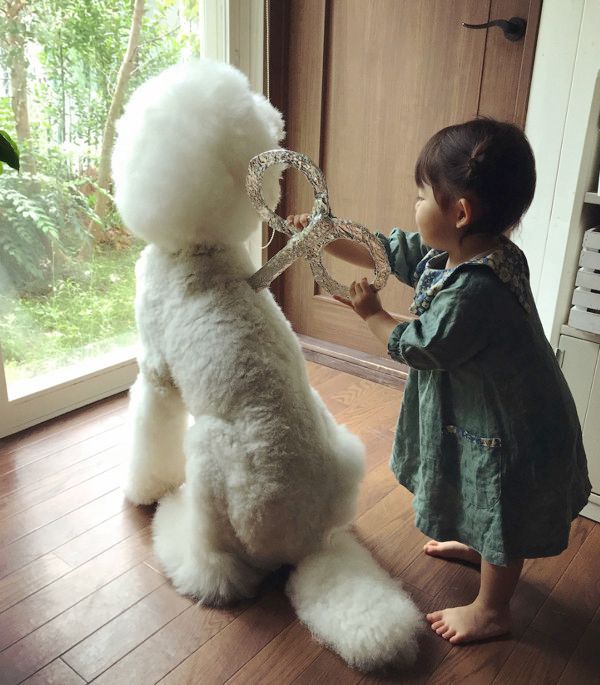 女の子にゼンマイを巻かれる犬