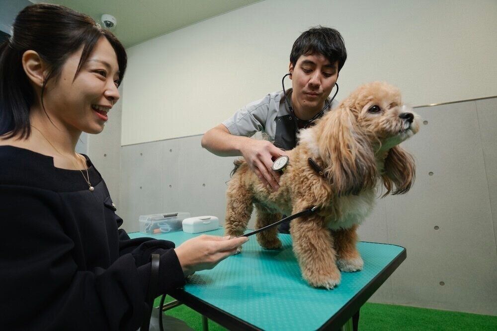 フジタ　大和リビング　リーラ横浜川和町　月次健診　無料　犬猫合わせて4頭　マンション　賃貸マンション　いぬのきもち　いぬ　