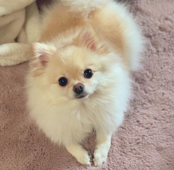 見つめるたろくん