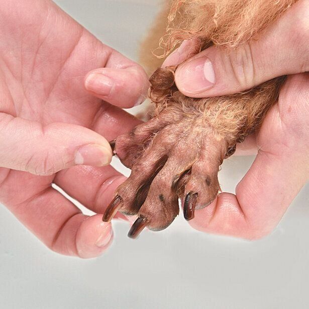 足先だけ洗っている写真