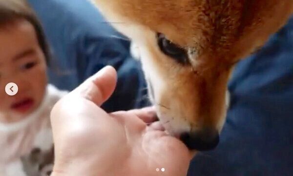 モモ子ちゃんの氷を奪う花子ちゃん