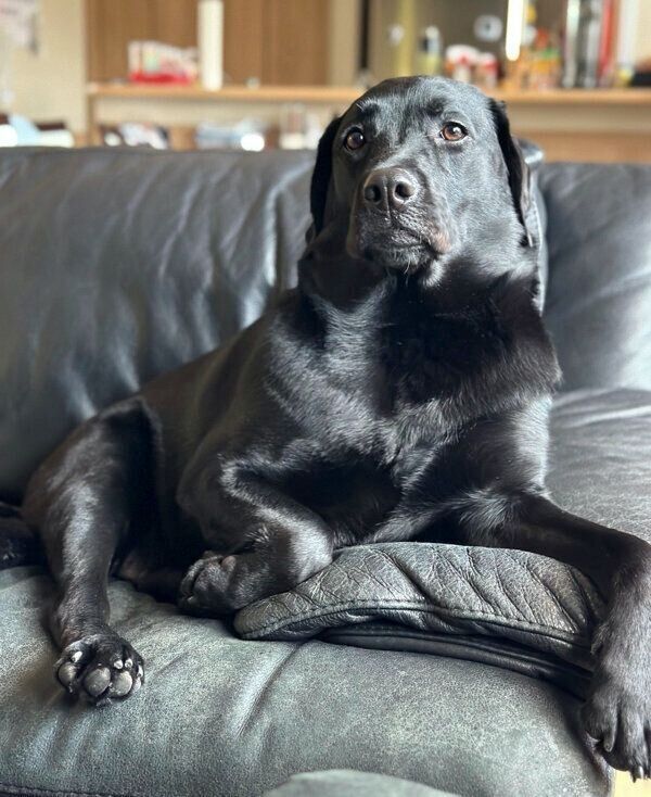 くつろぐぽこちゃん