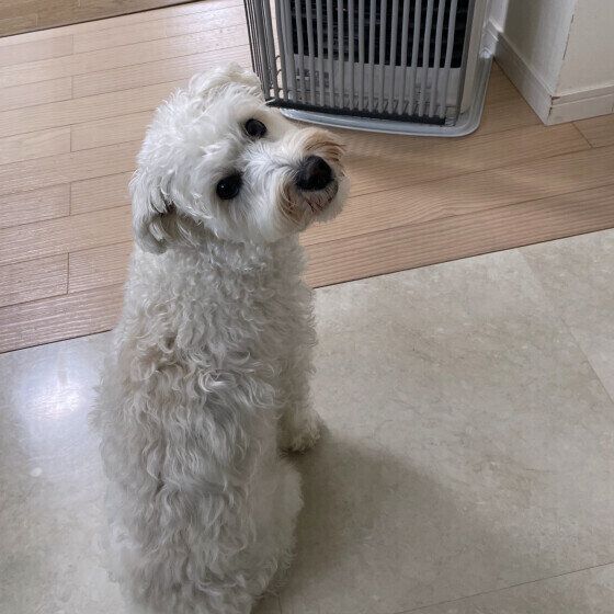 ストーブの前で座るぽぽくん