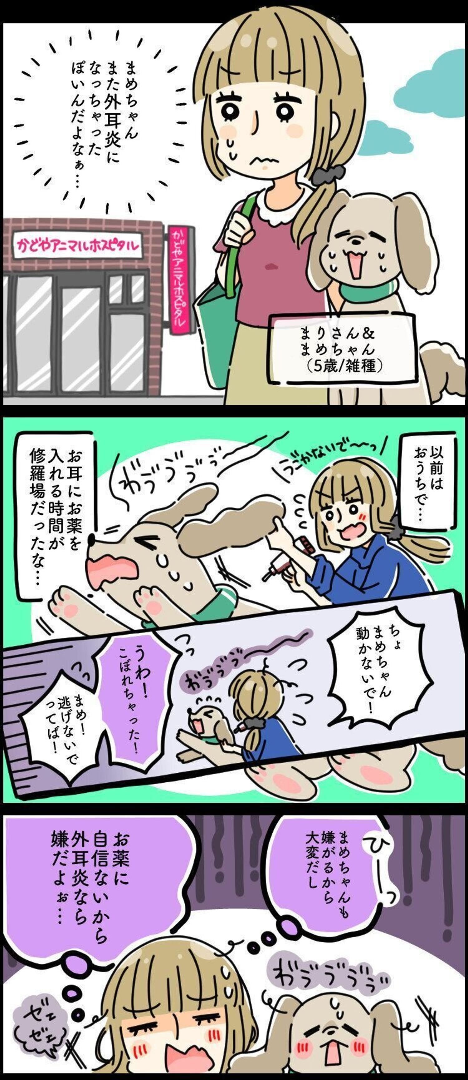 Pr 速報 耳のトラブルの治療法が変わる ストレスフリーな理由とは いぬのきもちweb Magazine Pr 速報 耳のトラブルの治療法が変わる ストレスフリーな理由とは いぬのきもちweb Magazine