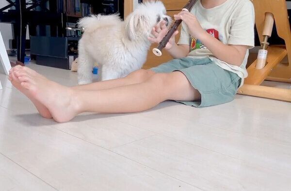 リコーダーが気になるみかんちゃん