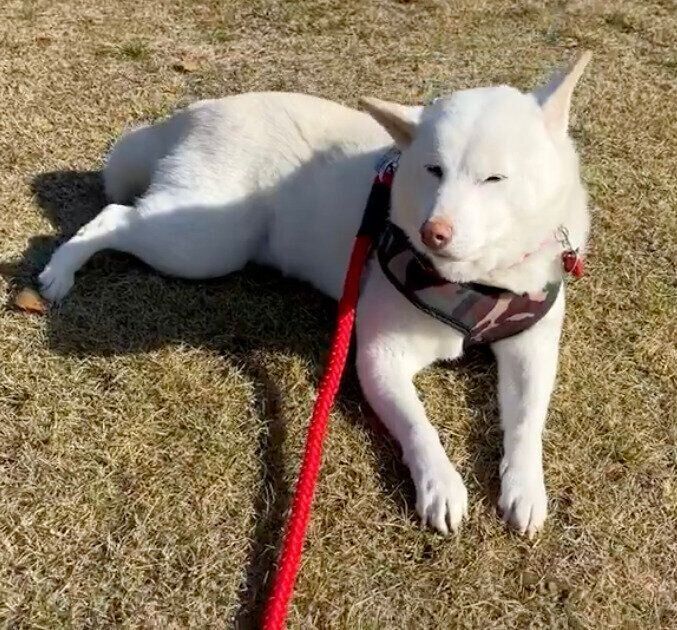 大好きな公園でもっと過ごしたいやまとくん