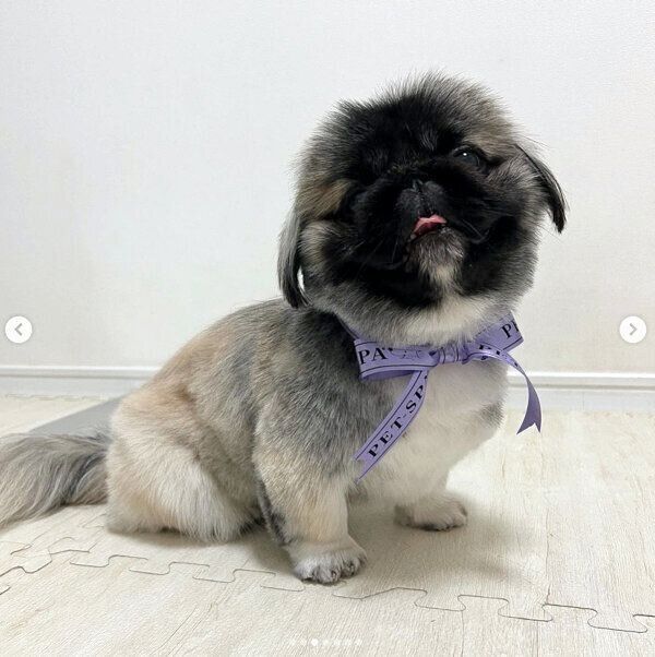 舌をペロッとするモブくん