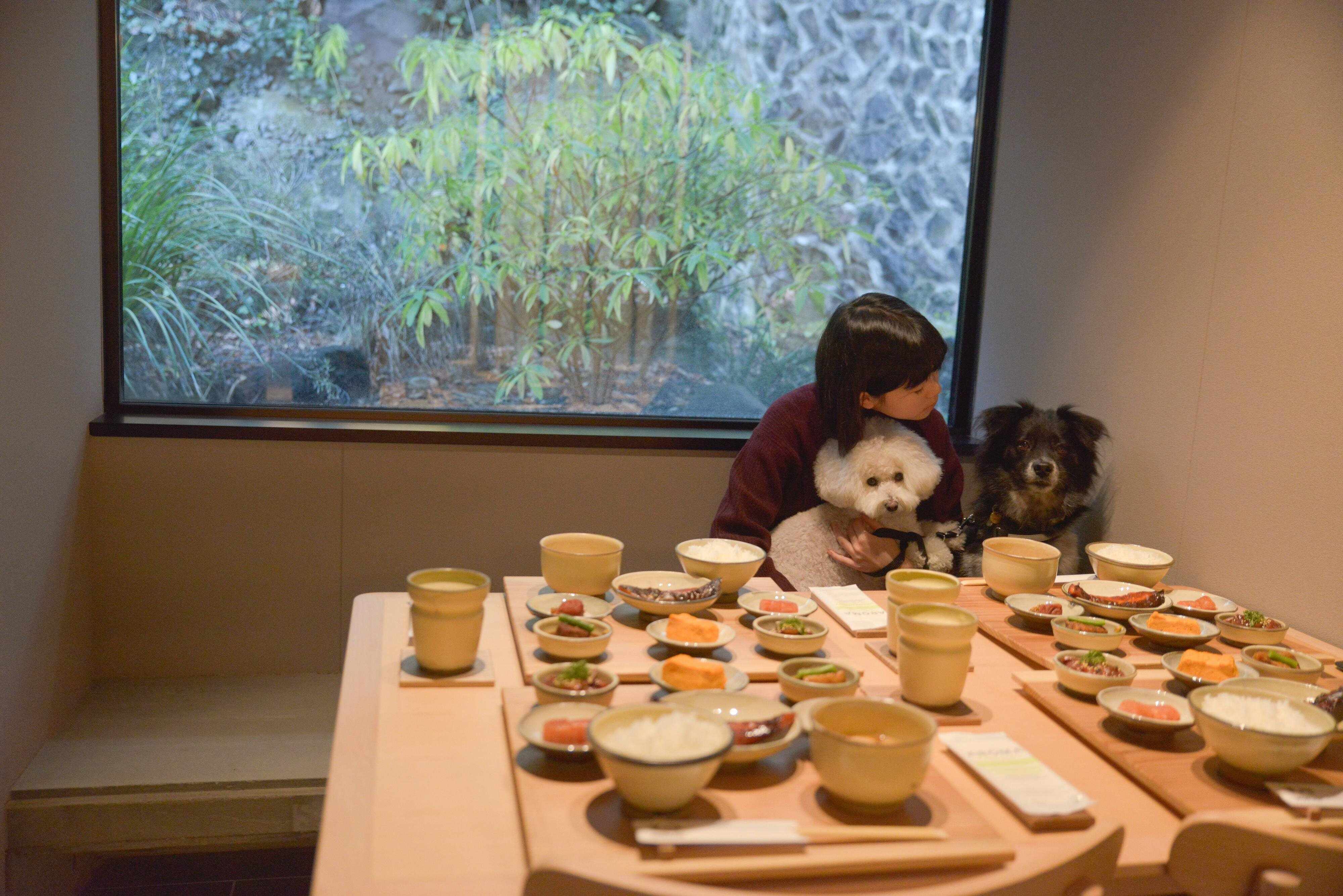 個室でお食事をとることもできます。もちろん愛犬もOK！
