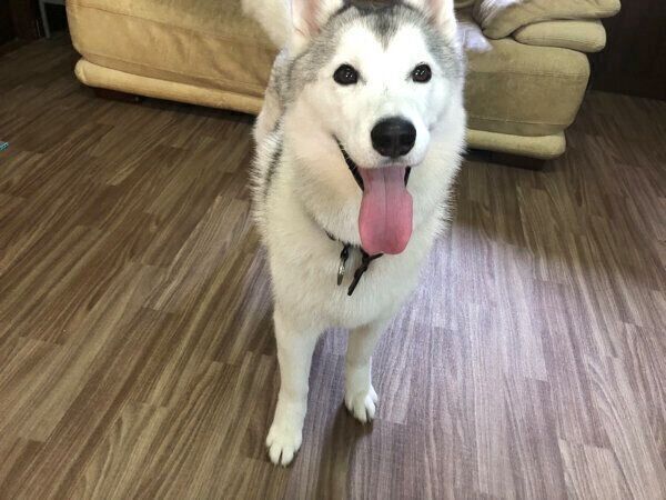 笑顔が可愛いぷくちゃん