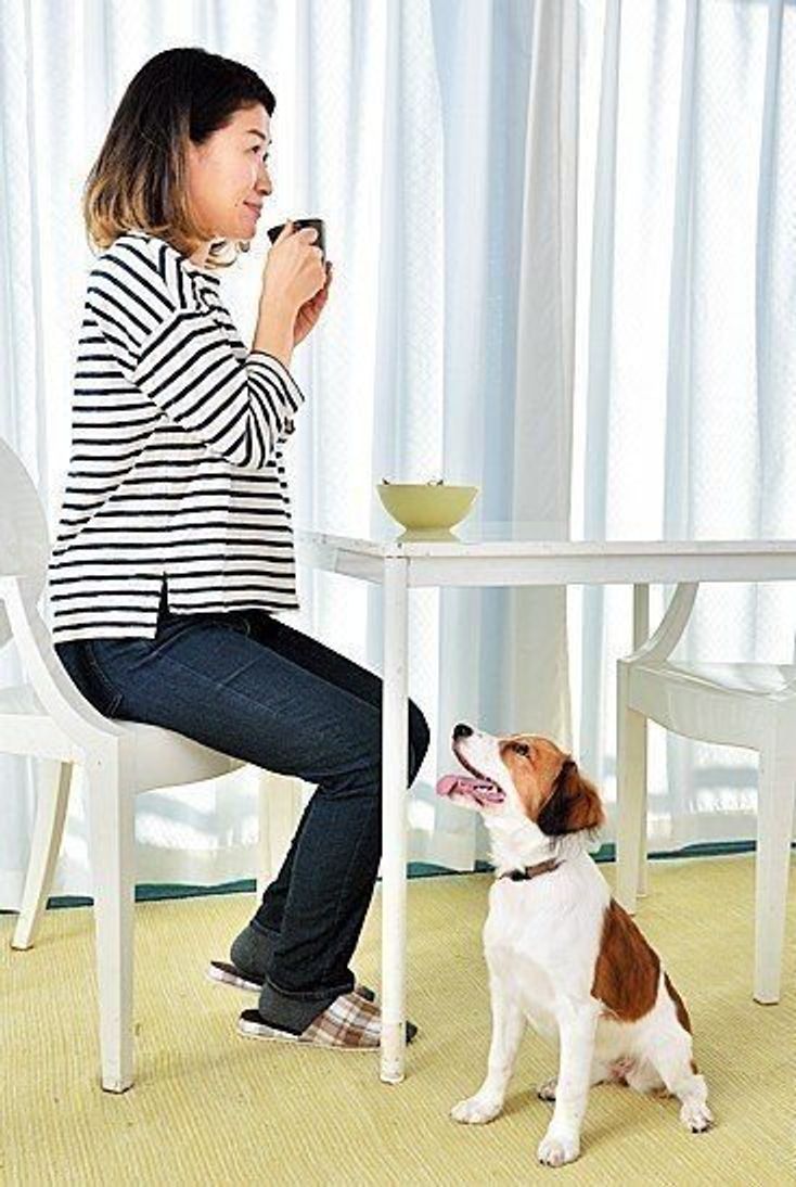 子犬はどんな気持ちで吠えるの 主な3つの理由はコレだった いぬのきもちweb Magazine 子犬はどんな気持ちで吠えるの 主な3つの理由はコレだった いぬのきもちweb Magazine