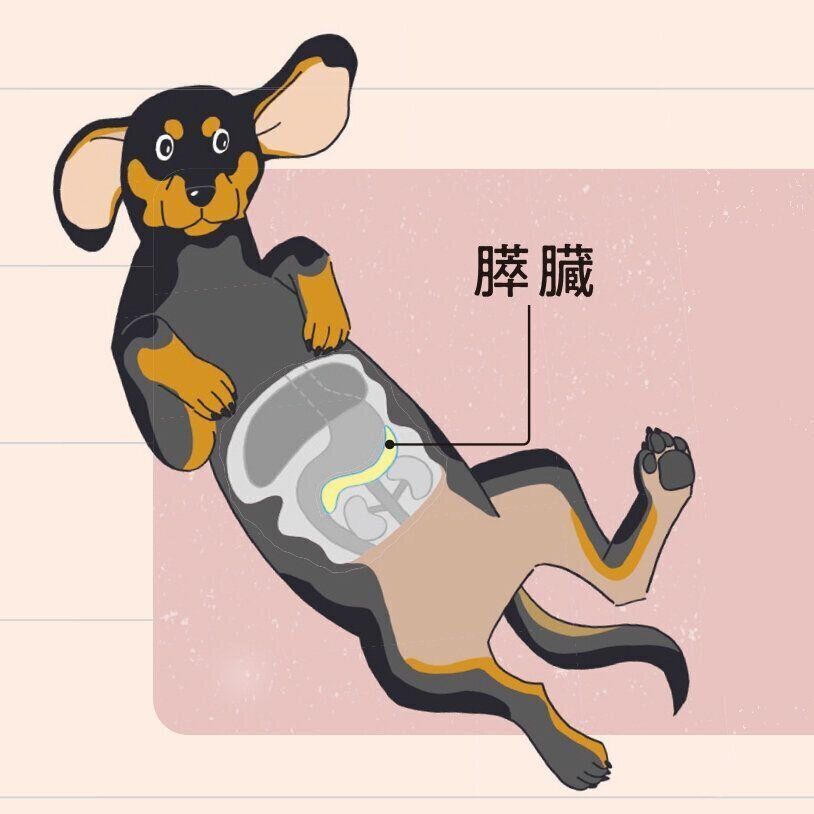 イラスト／福田玲子