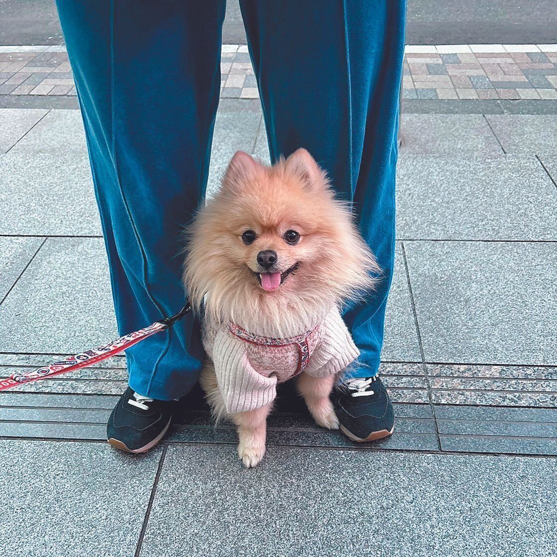 写真提供／神奈川県 A.E.さん