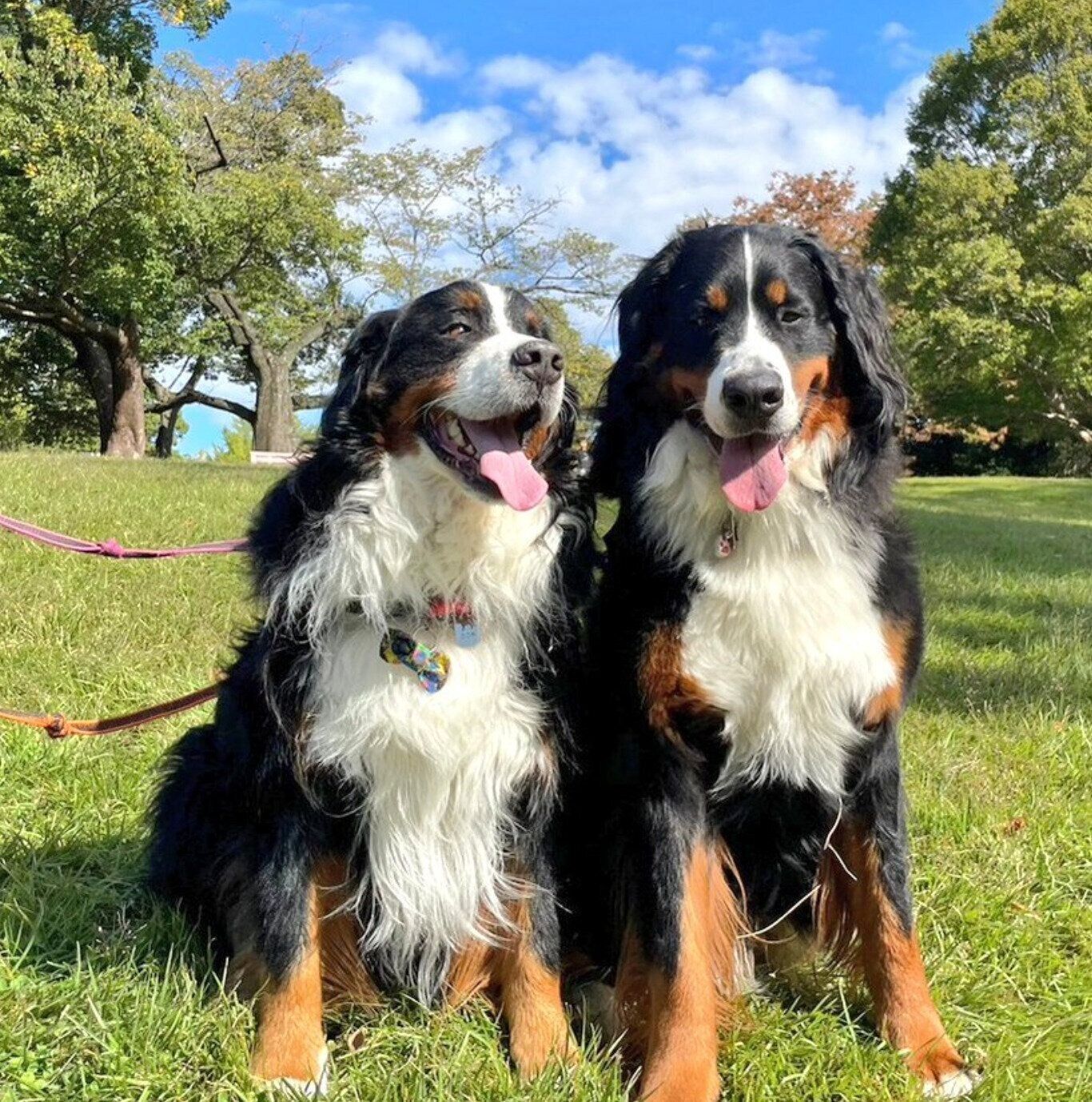 ココアくんとエマちゃん