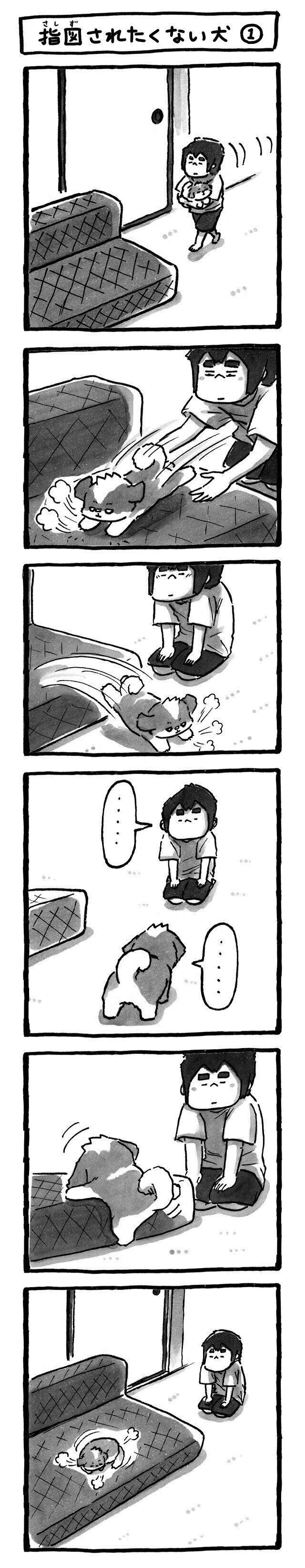 シーズー犬マンガてんぽshihtzu