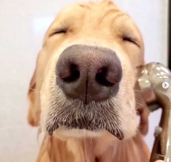 お風呂に入るアランくん