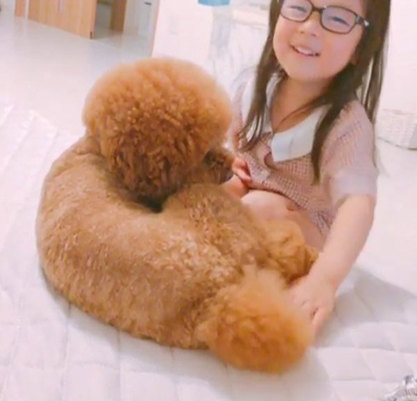 女の子とトイ・プードル