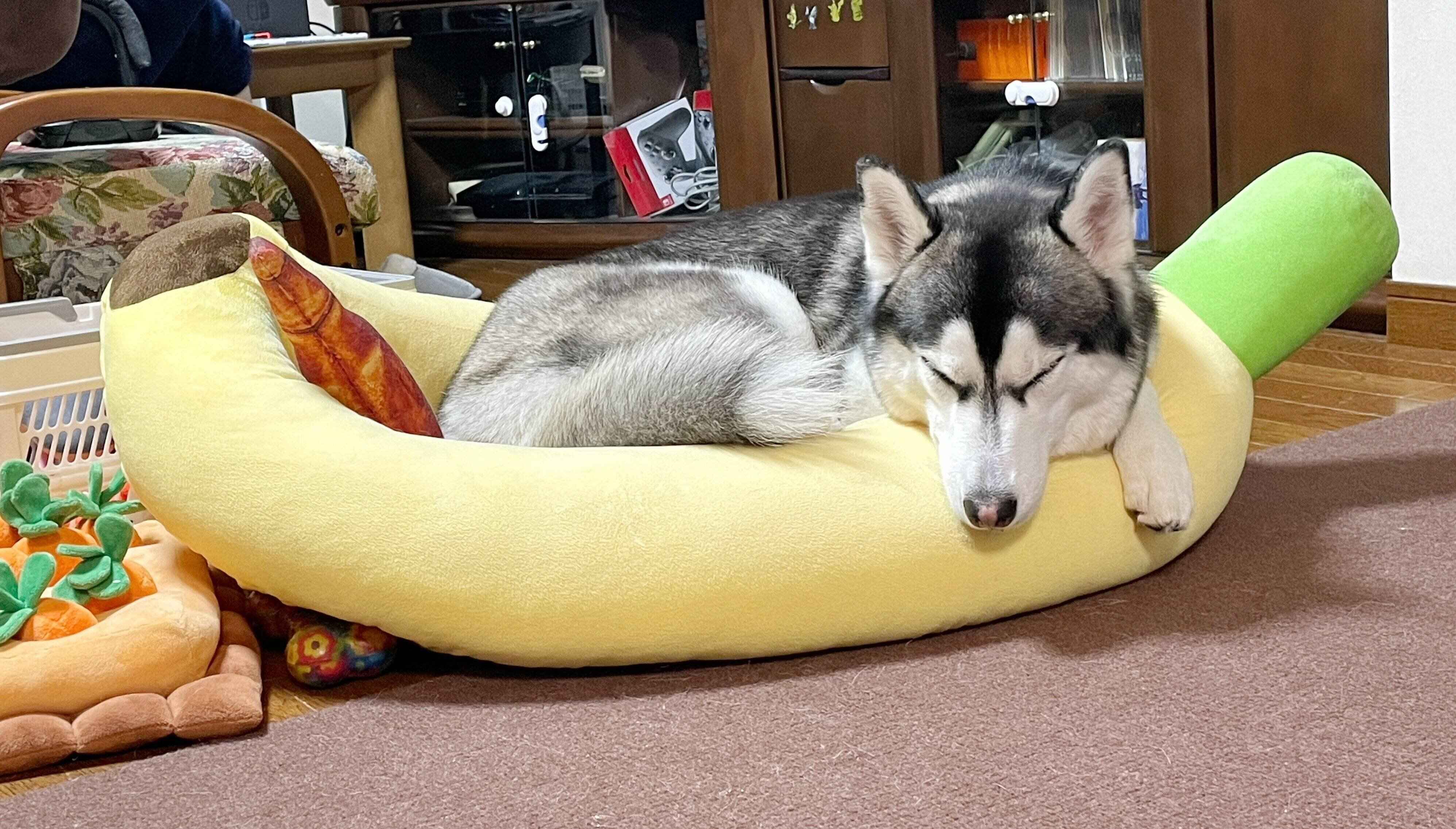 眠るウカちゃん