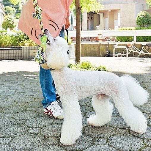 撮影／佐藤正之