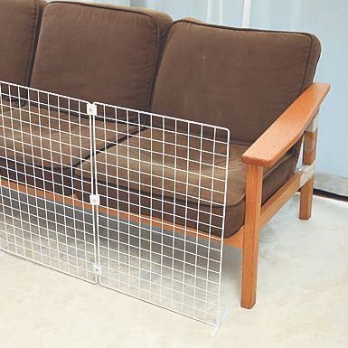 撮影／尾﨑たまき