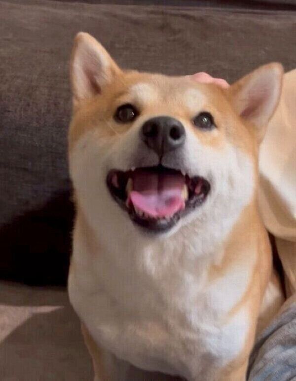 笑顔が可愛いユクちゃん