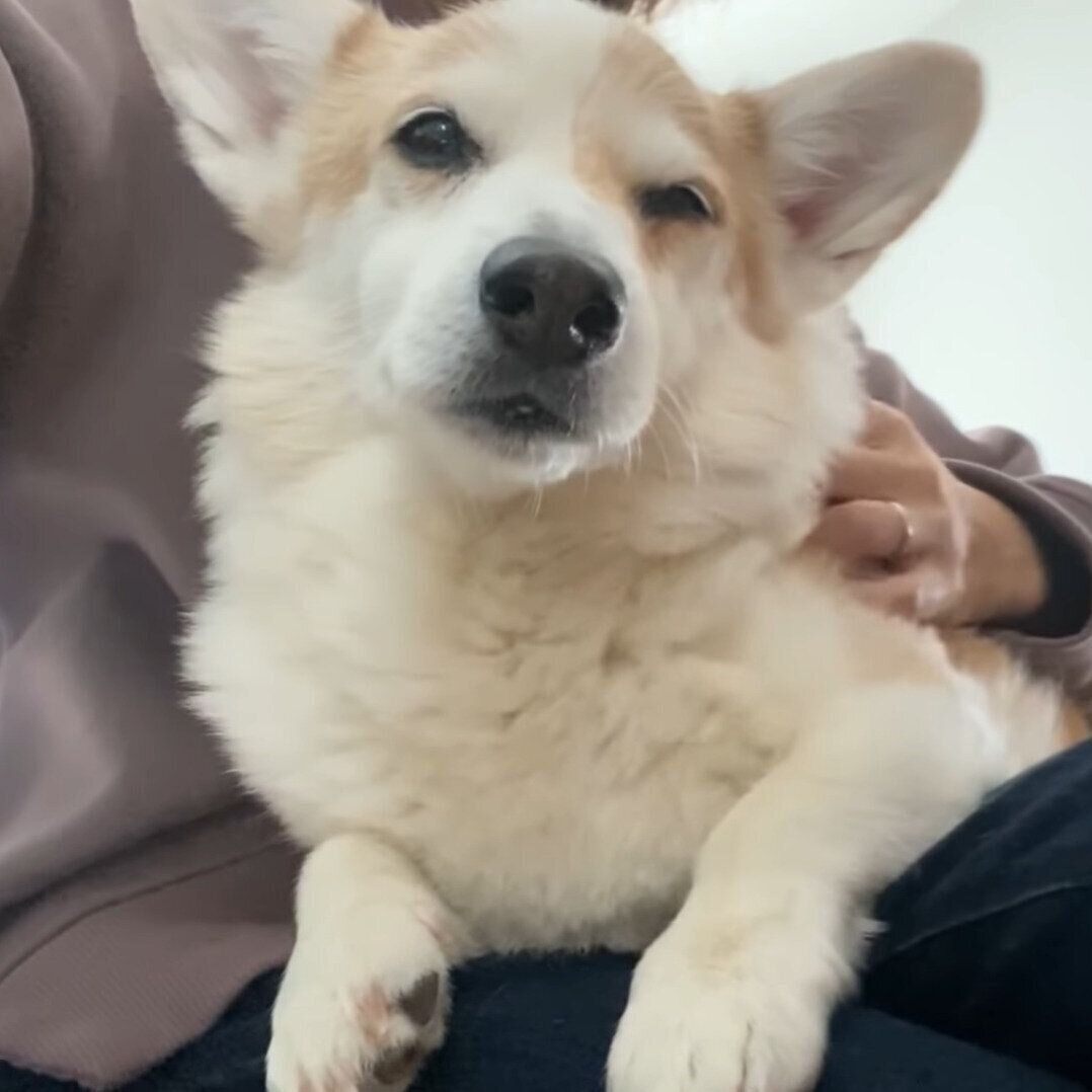 幸せそうなノエちゃん