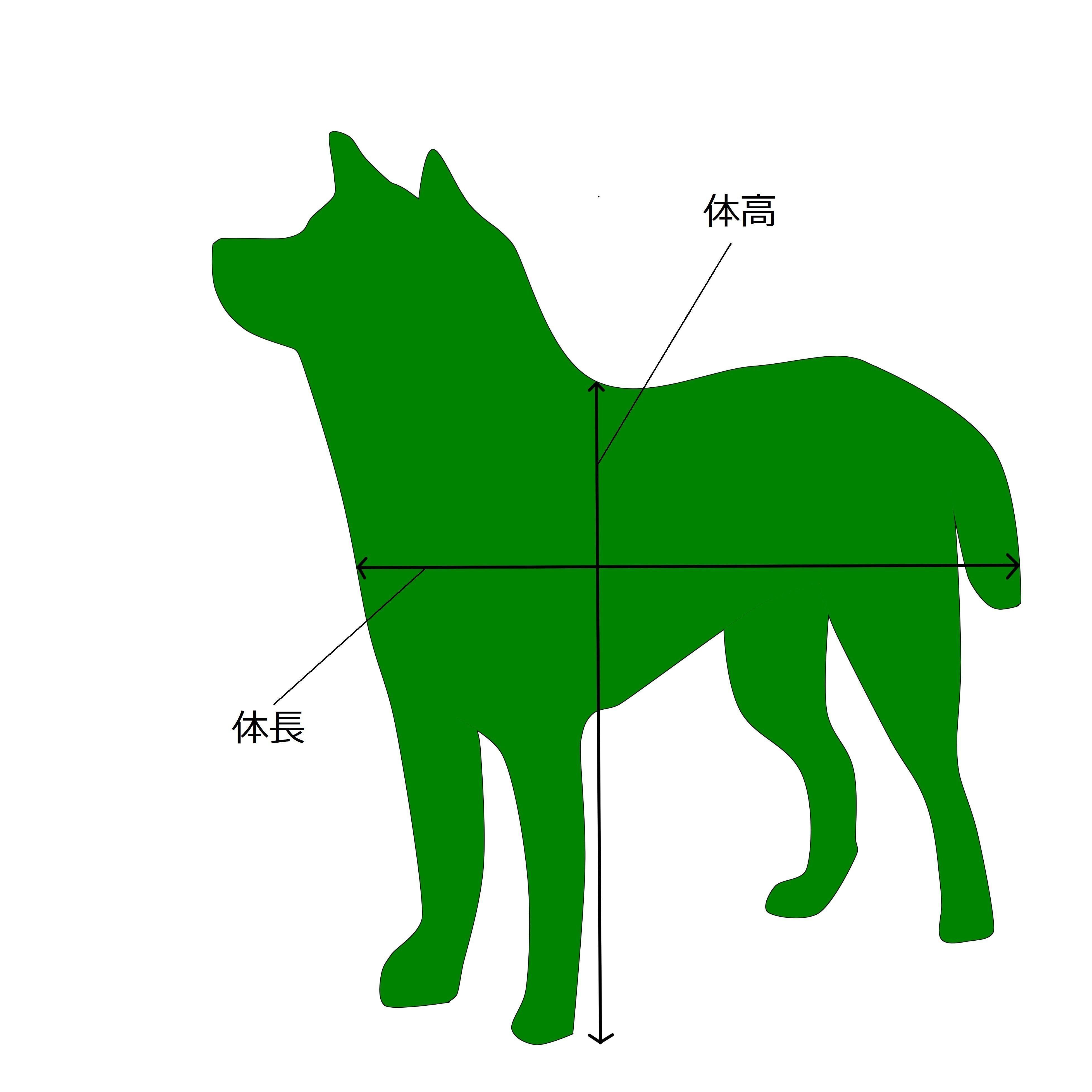 ゴールデン レトリーバーの性格 飼い方のコツ 飼い主の悩みq A いぬのきもち 犬図鑑 いぬのきもちweb Magazine