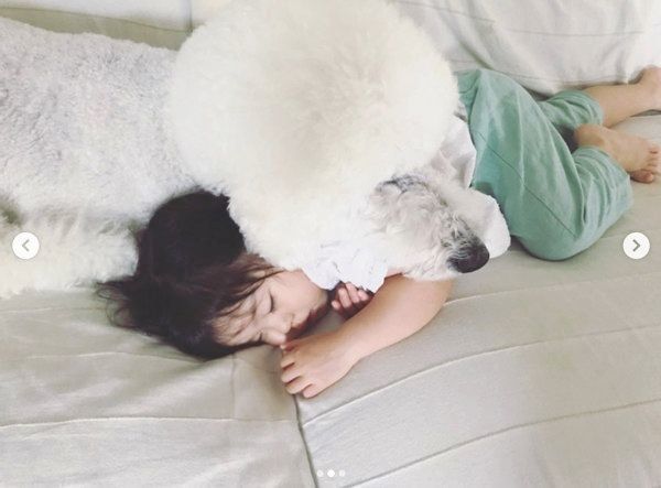 お昼寝するスタンダード・プードルと女の子