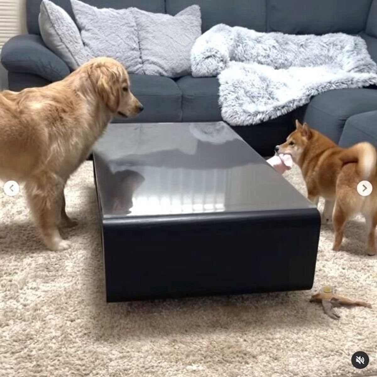 Abpybo2tpc Qwm Abpybo2tpc Qwm