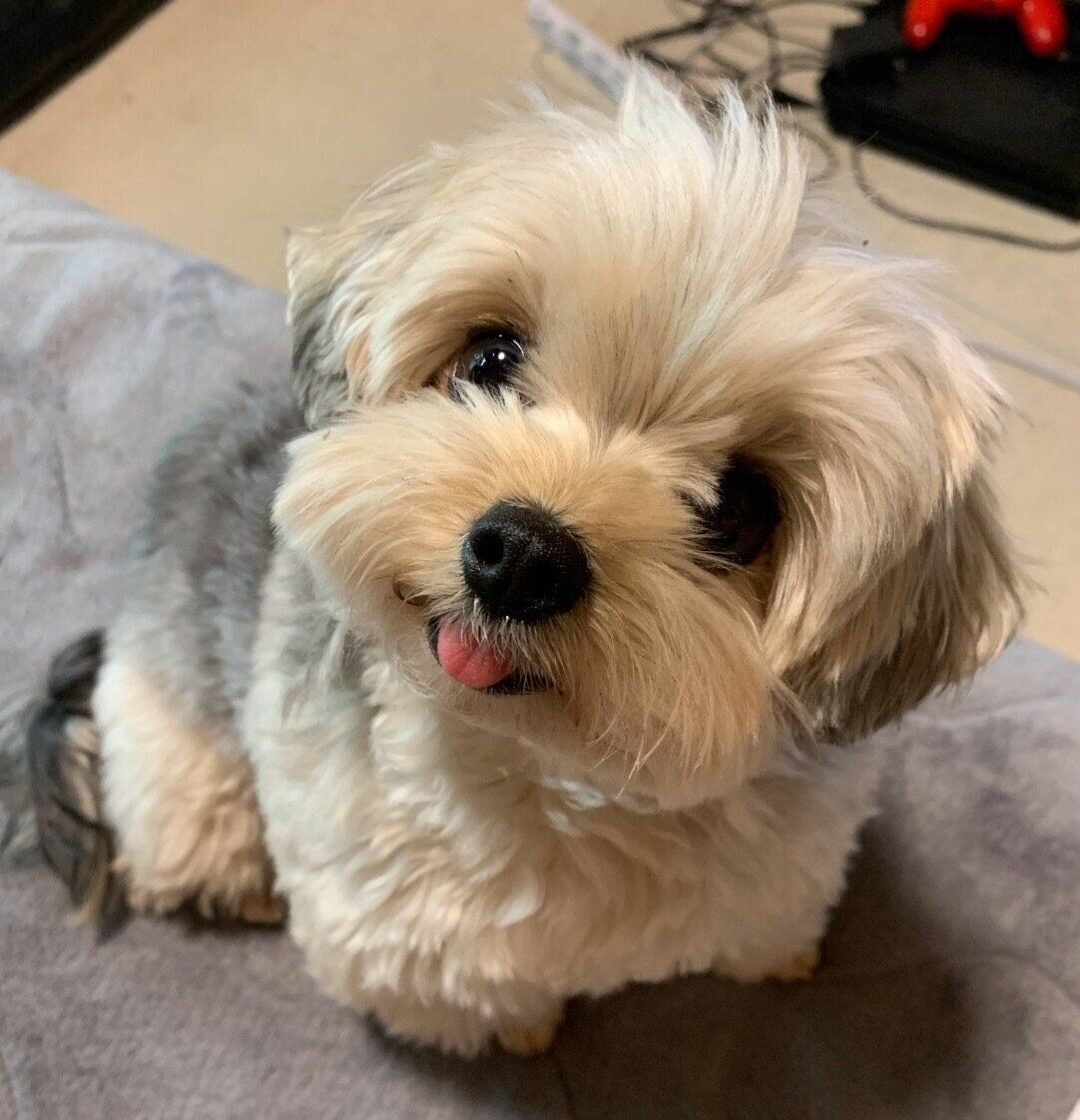 見つめるぽたちゃん