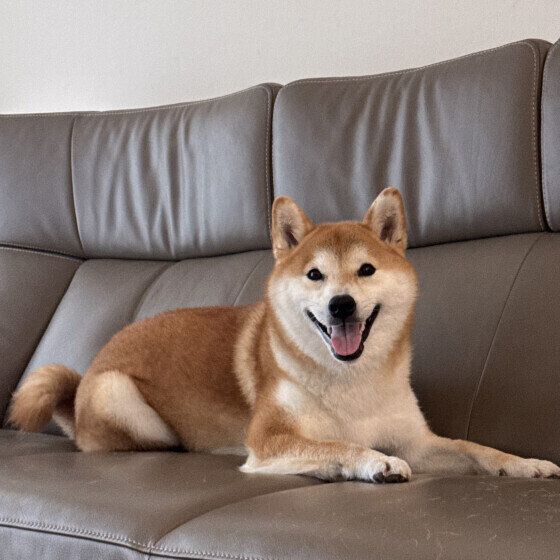 スズちゃん