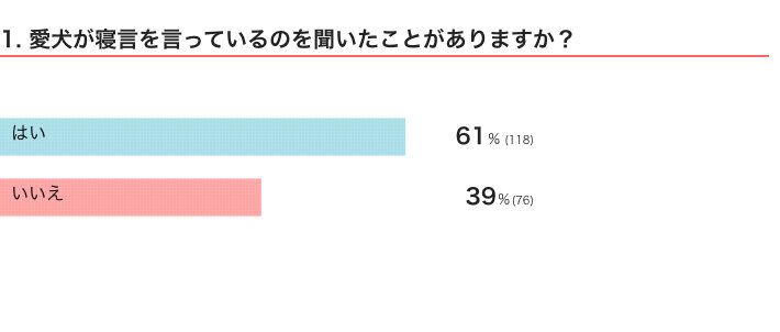 寝ているときに ムニャムニャ クゥーン 犬の寝言からわかること 獣医師解説 いぬのきもちweb Magazine