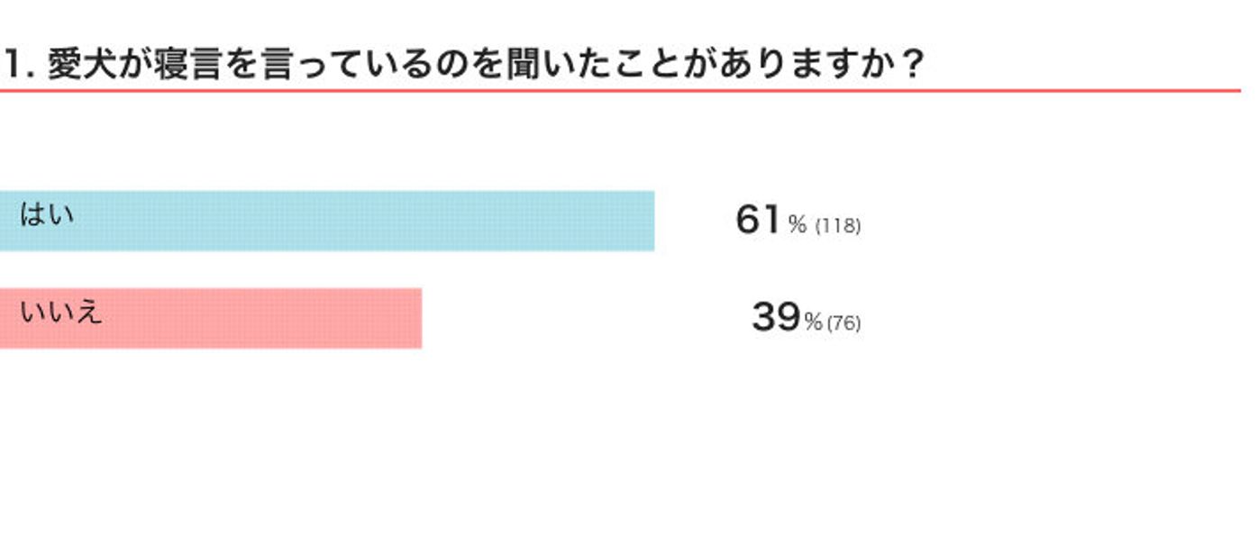 寝ているときに ムニャムニャ クゥーン 犬の寝言からわかること 獣医師解説 いぬのきもちweb Magazine 寝ているときに ムニャムニャ クゥーン 犬の寝言からわかること 獣医師解説 いぬのきもちweb Magazine