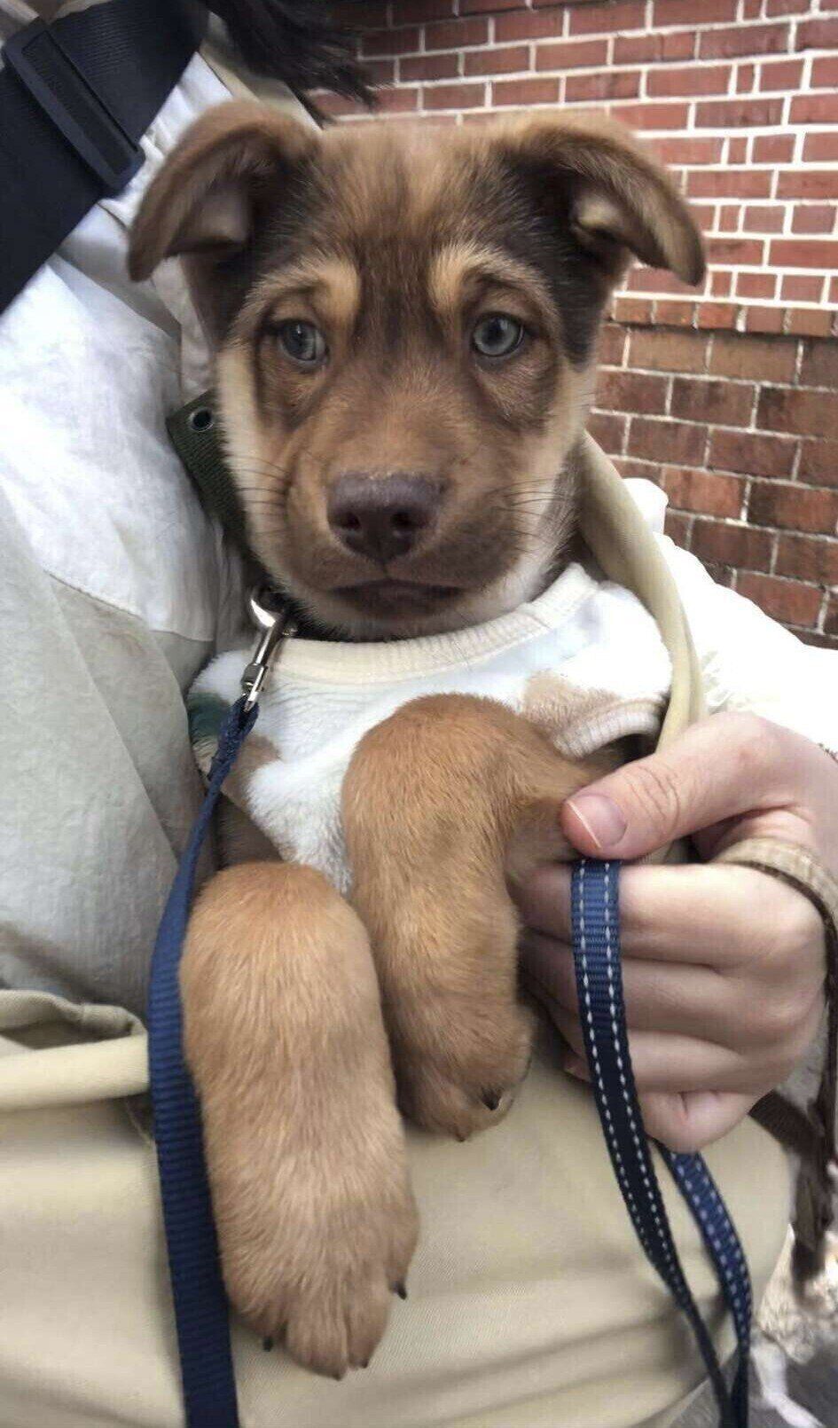 抱っこをしてもらい外に出る志くんの様子