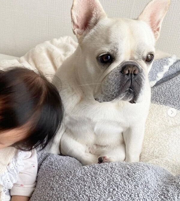 ひまわりちゃんと娘さん