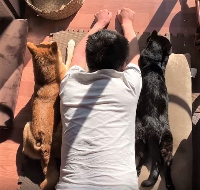 犬と猫に挟まれて寝る人